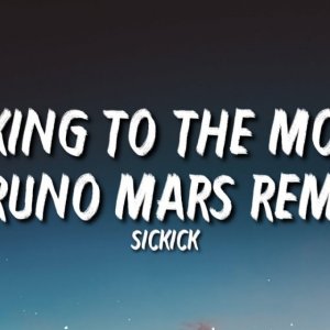 (TikTok remix) sickmix - Talking to the moon