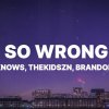 Jordan Knows - So Wrong (ft. Thekidszn, Brandon ThaKidd)
